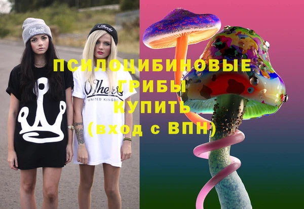 молекула духа Вязьма